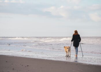 Nordic walking i jego prozdrowotne korzyści