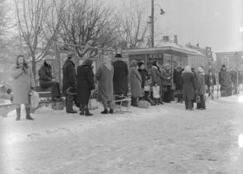 Kioski Ruchu – czy można było uratować ich przyszłość?