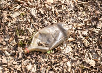 Kaucja za butelki już wkrótce w Polsce — koniec ze zgniecionymi opakowaniami?