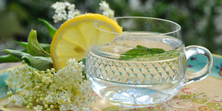 Czarny bez na zdrowie?