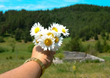 Sztuka życia w rytmie slow – jak cieszyć się codziennością na emeryturze