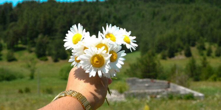 Sztuka życia w rytmie slow – jak cieszyć się codziennością na emeryturze