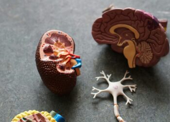 Neurofizjoterapia – trening ciała i umysłu w jednym