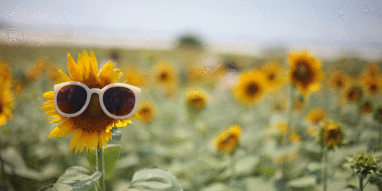 Gdy słońce daje w kość – jak bezpiecznie przetrwać upały po 60-tce