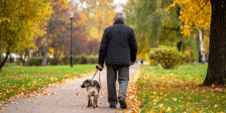 Szaro za oknem? Oto jak małe rzeczy mogą wnieść radość do jesiennego dnia